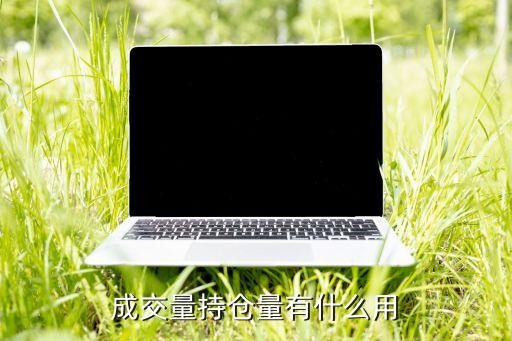 成交量持仓量有什么用