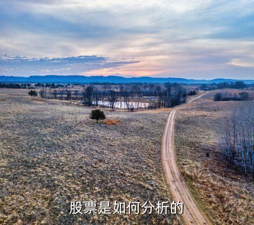 股票是如何分析的