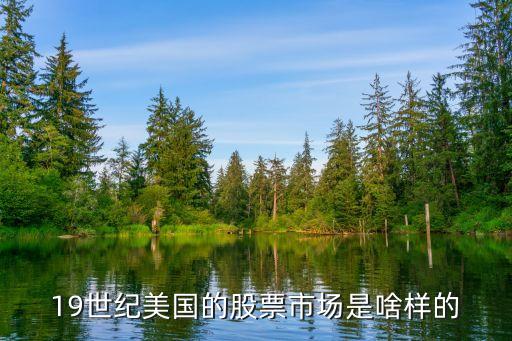 19世纪美国的股票市场是啥样的