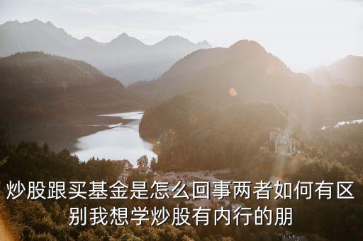 炒股跟买基金是怎么回事两者如何有区别我想学炒股有内行的朋