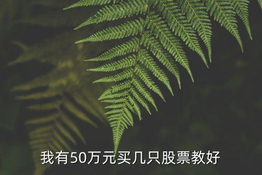 我有50万元买几只股票教好