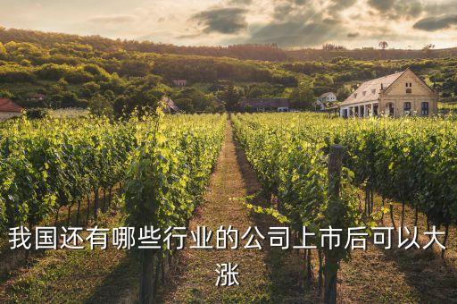 我国还有哪些行业的公司上市后可以大涨
