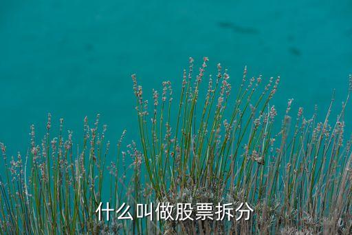 股票拆分模式是什么样的，什么叫做股票拆分
