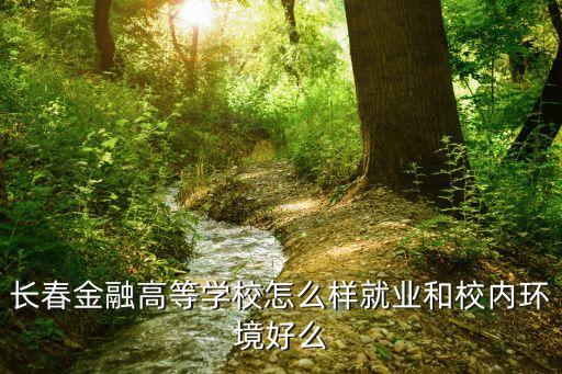 长春金融高等学校怎么样就业和校内环境好么