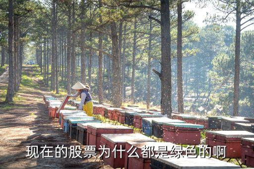 现在的股票为什么都是绿色的啊