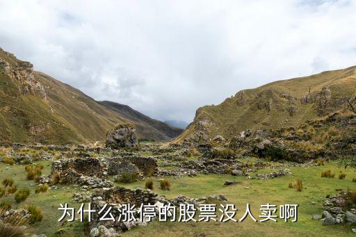 为什么涨停的股票没人卖啊
