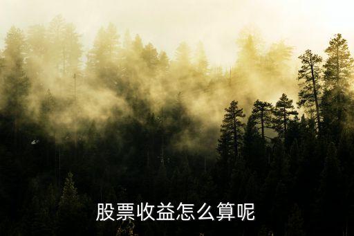 股票收益是什么原理怎么算，股票的利润是如何计算的