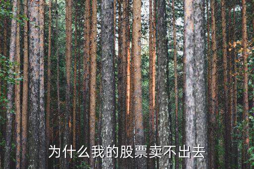 股票为什么有的卖不出去，为什么我的股票卖不出去