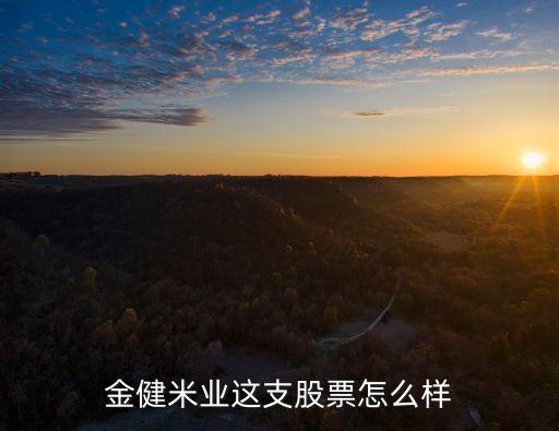 金健米业这支股票怎么样
