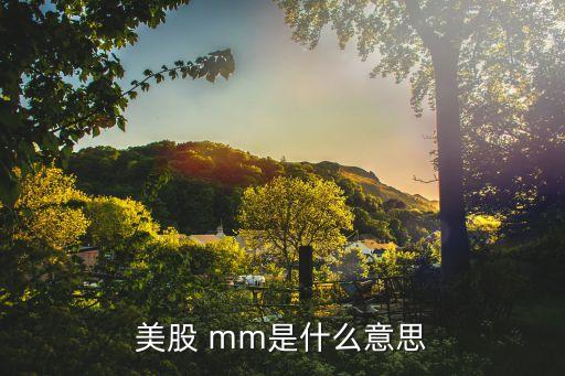美股 mm是什么意思