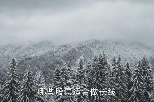 什么股票不适合做长线，哪些股票适合做长线