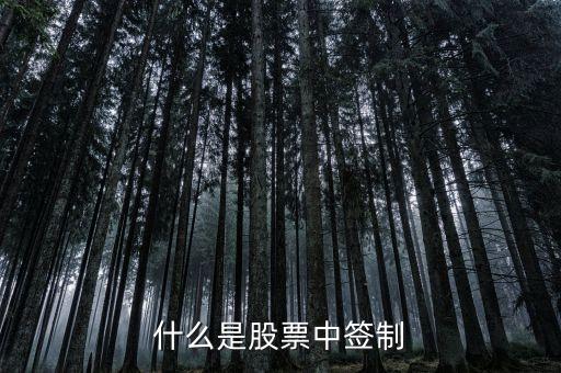 什么是股票中签制
