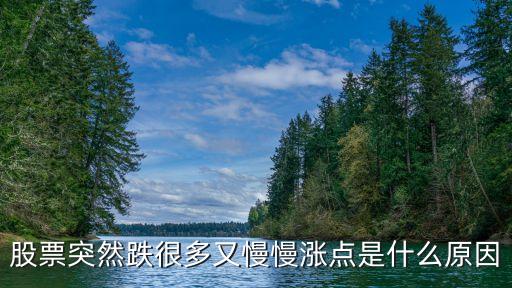 股票为什么跌了几个点又涨，股票为什么会跌会升