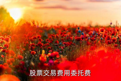 委托买入股票都有什么费用，股票交易费用委托费