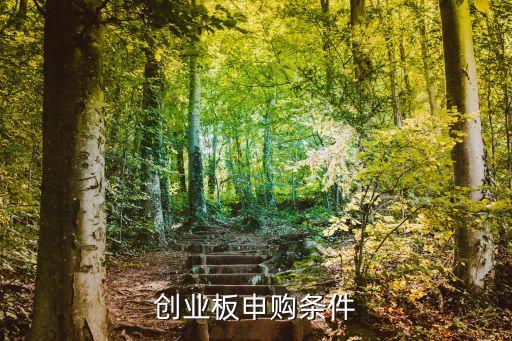 创业板申购条件