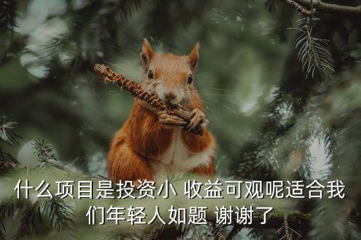 什么项目是投资小 收益可观呢适合我们年轻人如题 谢谢了
