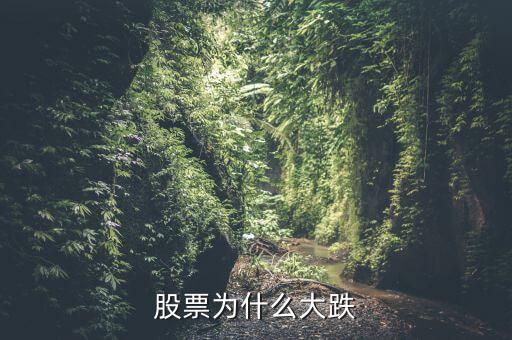朗姿股份股票为什么暴跌，朗源股份为什么会大跌