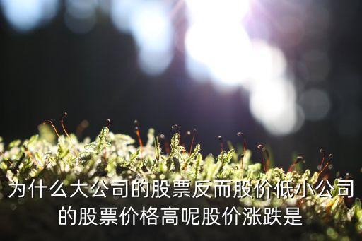 为什么大公司的股票反而股价低小公司的股票价格高呢股价涨跌是