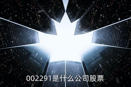 002291是什么公司股票
