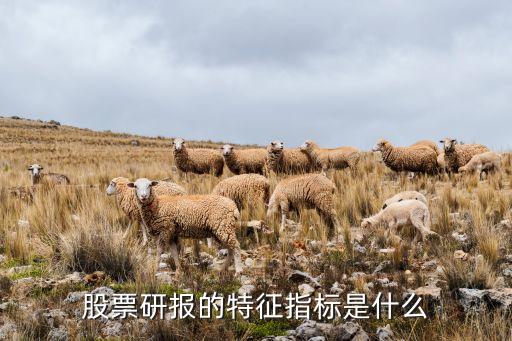 股票研报的特征指标是什么