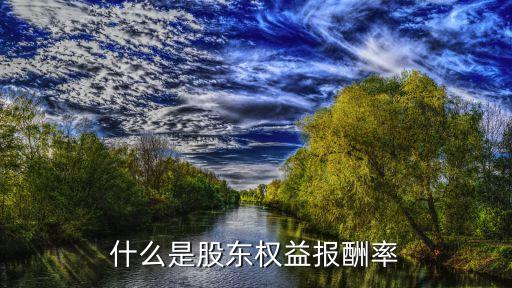 股票股东权益比是什么，股东权益比是什么意思什么是股东权益比股东权益比的含义  搜