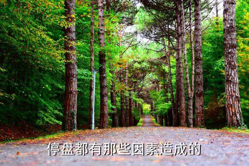 停盘都有那些因素造成的