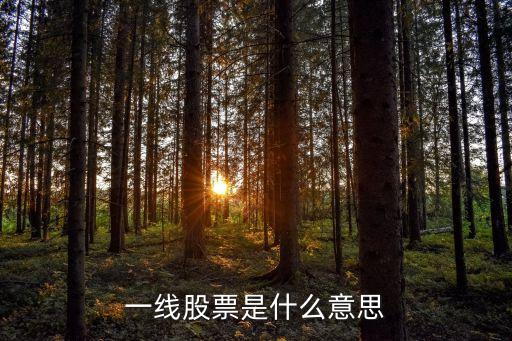 一线股票是什么意思