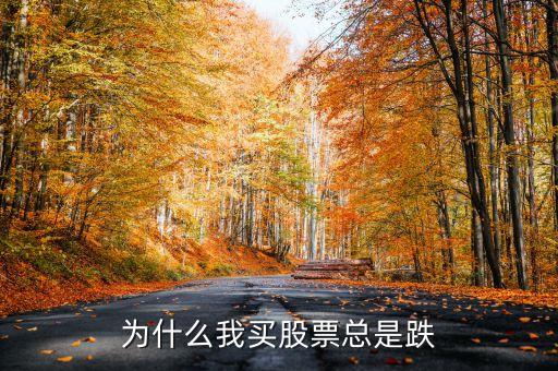散户为什么买股票老是跌，为什么我炒股老是亏呢