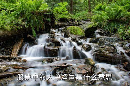 股票中的大单净量是什么意思