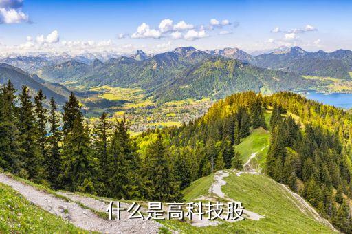 什么是科技含量高的股票，求教到底哪些行业才能算是科技股