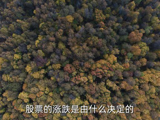 股票的涨跌主要靠什么影响，股票涨跌与什么有关呀