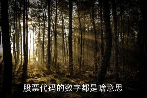 股票代码的数字都是啥意思