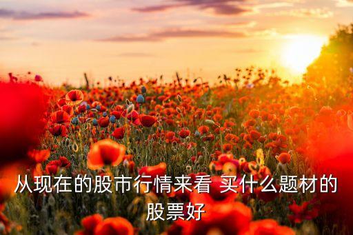 从现在的股市行情来看 买什么题材的股票好