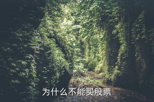 为什么不能买股票