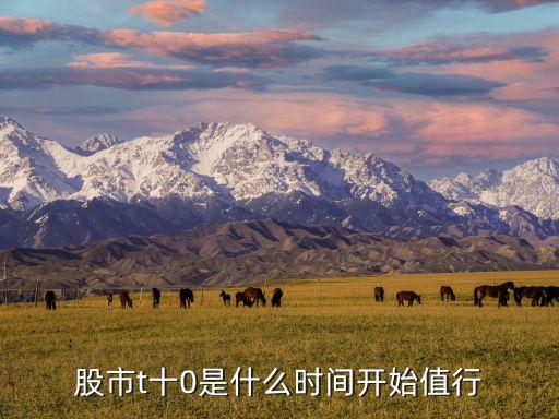股市t十0是什么时间开始值行