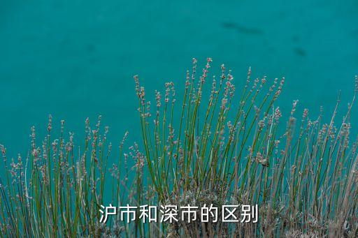 沪市和深市的区别