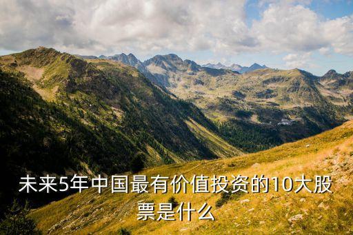 未来5年中国最有价值投资的10大股票是什么