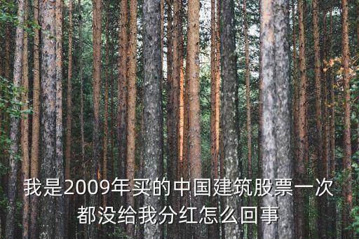 我是2009年买的中国建筑股票一次都没给我分红怎么回事