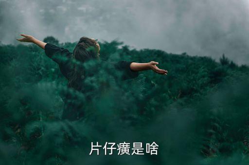 片仔癀是啥