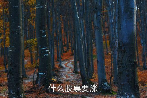什么股票要涨