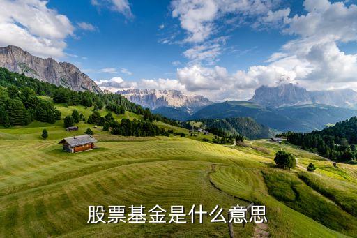 股票基金是什么意思