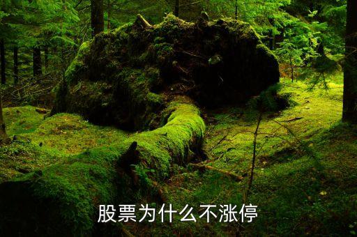 股票为什么不涨停