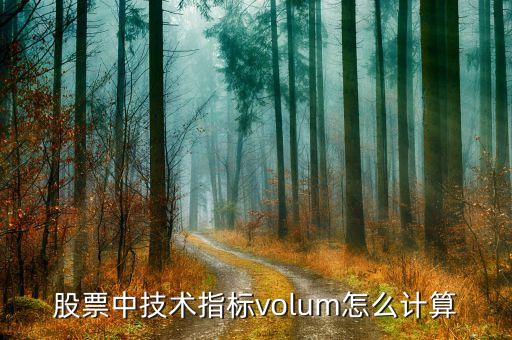 股票中技术指标volum怎么计算