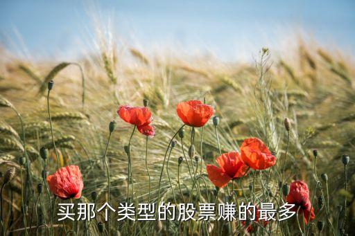 买那个类型的股票赚的最多