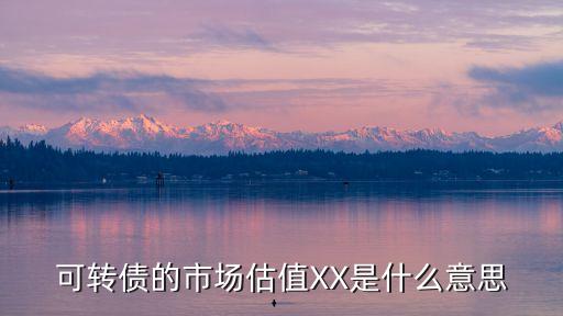 股票市场什么叫可转债市值，可转债的市场估值XX是什么意思