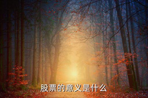 股票的意义是什么