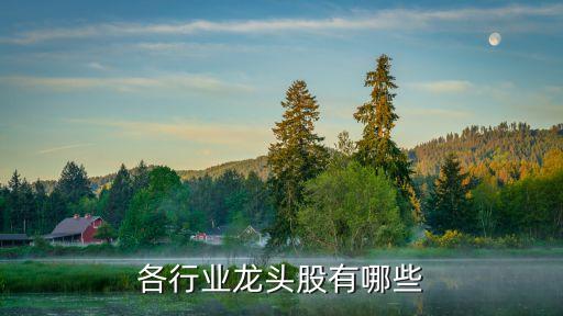 各行业龙头股有哪些