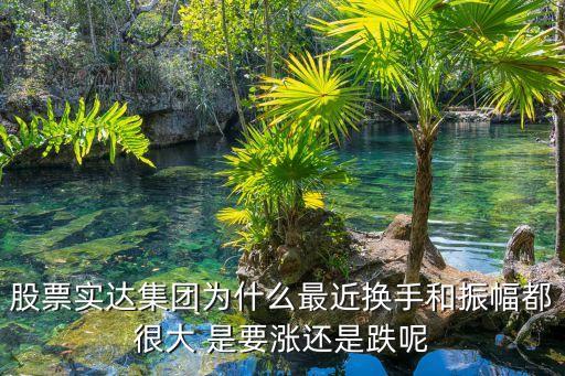 股票实达集团为什么最近换手和振幅都很大 是要涨还是跌呢
