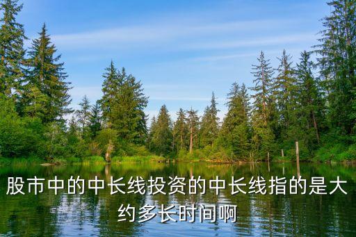 股市中的中长线投资的中长线指的是大约多长时间啊