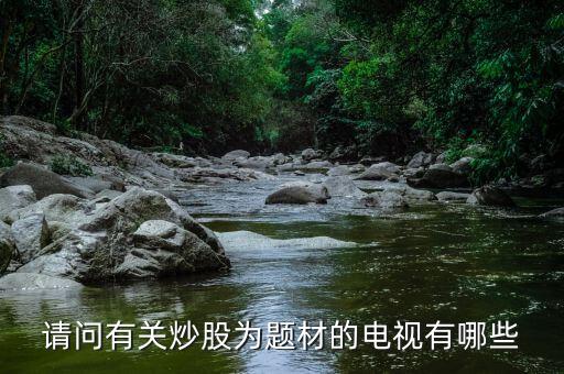 请问有关炒股为题材的电视有哪些